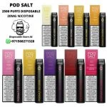 Pod Salt Go Disposable Vape 2500 Puffs