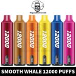 Buy SMOOTH Whale 12000 Puffs 5% Disposable Vape in UAE -SMOOTH Whale Disposable 12000 Puffs in Dubai -SMOOTH 12000 Puffs near me