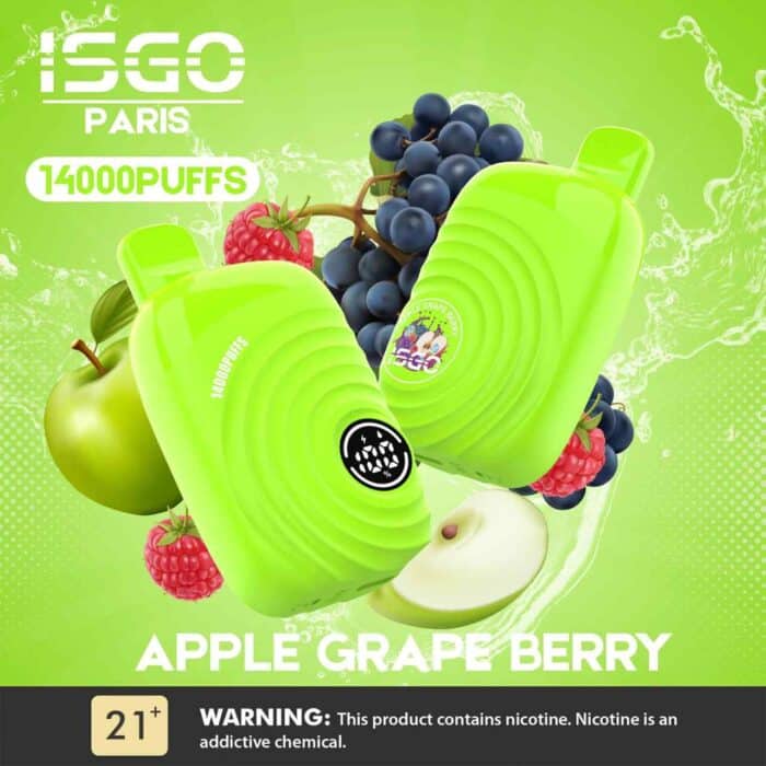 ISGO Paris 2% nicotine Disposable 14000 Puffs Rechargeable Vape in Dubai, UAE - Image 9