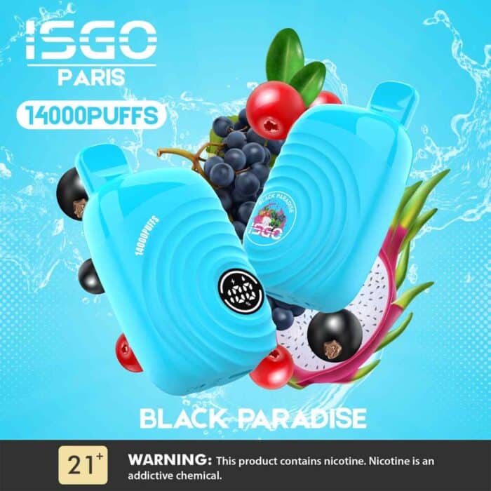 ISGO Paris 2% nicotine Disposable 14000 Puffs Rechargeable Vape in Dubai, UAE - Image 8