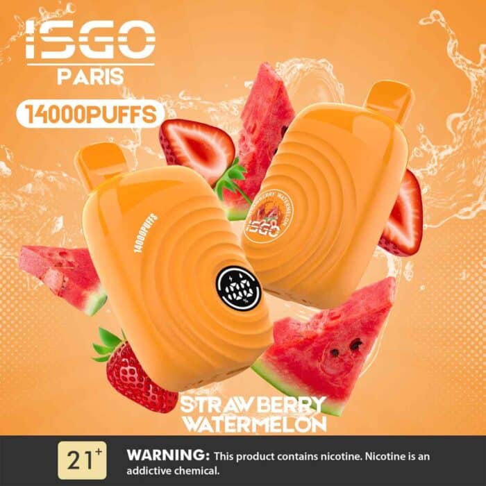 ISGO Paris 2% nicotine Disposable 14000 Puffs Rechargeable Vape in Dubai, UAE - Image 2