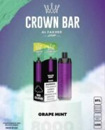 GRAPE MINT crown bar 8000 puffs