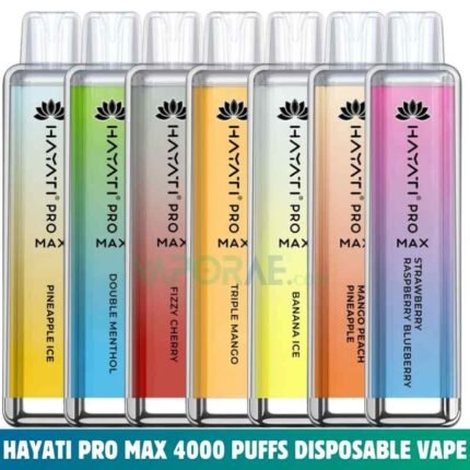 HAYATI Pro Max 4000 Puffs Price in Dubai