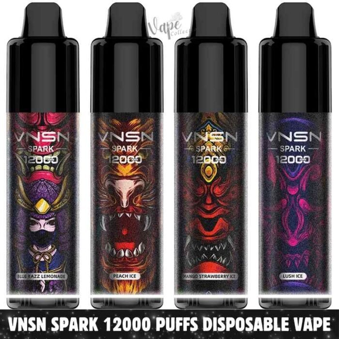 VNSN Spark 12000 Puffs Price in Dubai