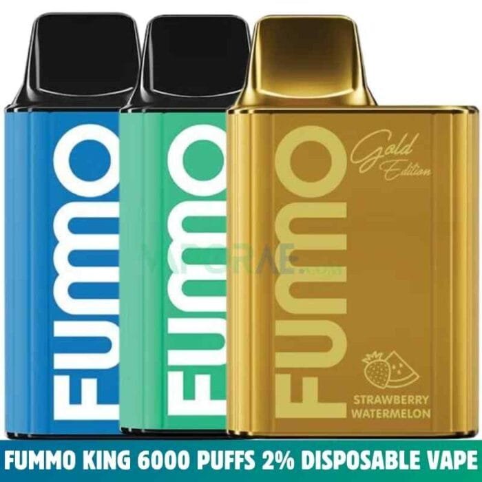 FUMMO King 6000 Puffs 2% Nicotine Rechargeable Disposable Vape in Dubai