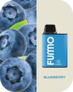 FUMMO King 6000 Puffs 2% Nicotine Rechargeable Disposable Vape in Dubai - Blue Berry