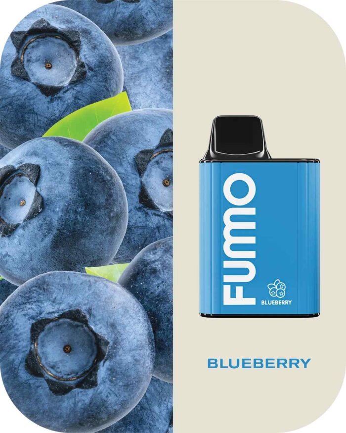 FUMMO King 6000 Puffs 2% Nicotine Rechargeable Disposable Vape in Dubai - Blue Berry