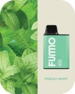 FUMMO King 6000 Puffs 2% Nicotine Rechargeable Disposable Vape in Dubai - Fresh Mint