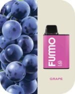 FUMMO King 6000 Puffs 2% Nicotine Rechargeable Disposable Vape in Dubai - Grape