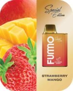 FUMMO King 6000 Puffs 2% Nicotine Rechargeable Disposable Vape in Dubai - Strawberry Mango