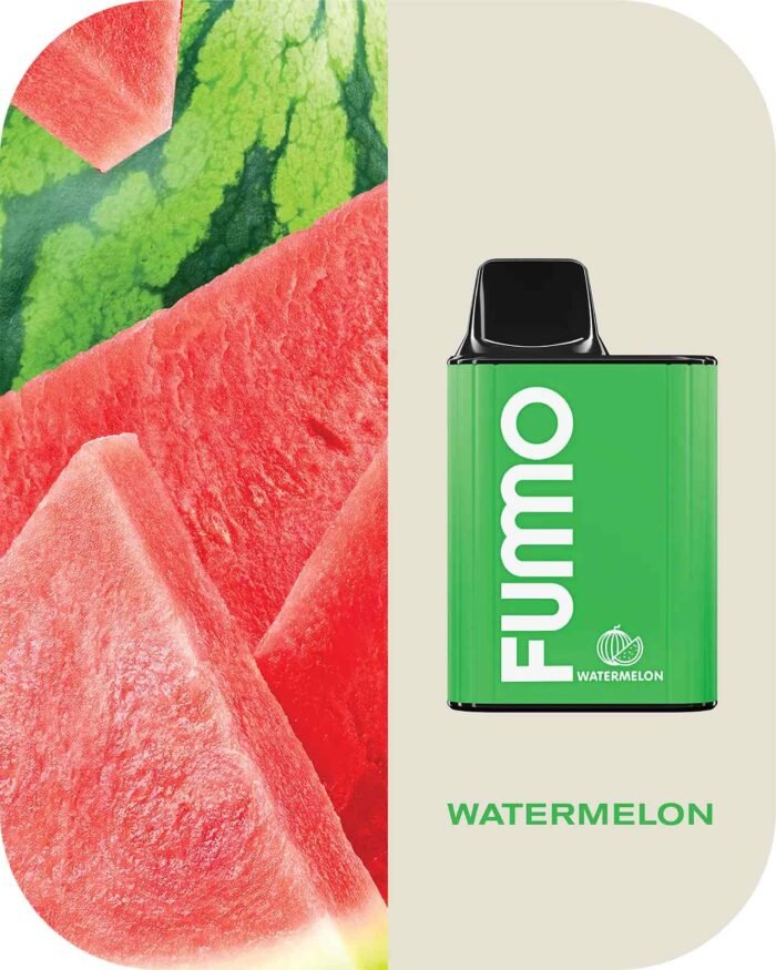 FUMMO King 6000 Puffs 2% Nicotine Rechargeable Disposable Vape in Dubai - Watermelon