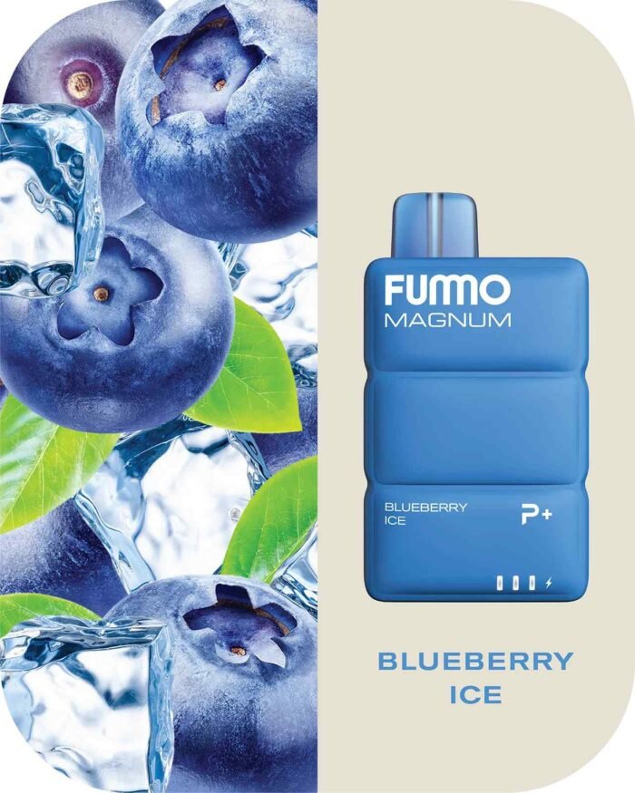 FUMMO Magnum 8000 Puffs 2% Nicotine Disposable Vape in Dubai - Blue Berry Ice