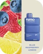 FUMMO Magnum 8000 Puffs 2% Nicotine Disposable Vape in Dubai - Blue Raspberry Lemon