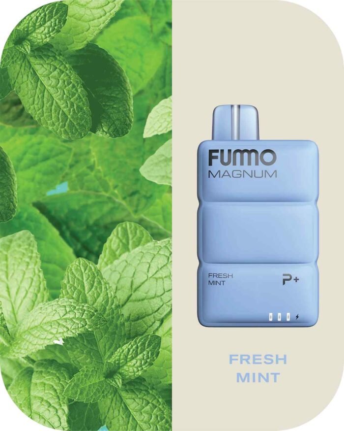 FUMMO Magnum 8000 Puffs 2% Nicotine Disposable Vape in Dubai - Fresh Mint