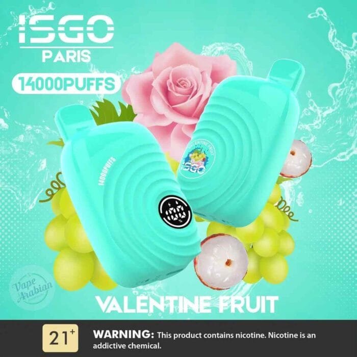 ISGO Paris 14000 Puffs 2% Nicotine Disposable Rechargeable Vape in Dubai - Valentine Fruit