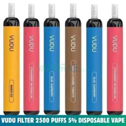 VUDU Filter 2500 Puffs 5% Nicotine Disposable Vape In Dubai