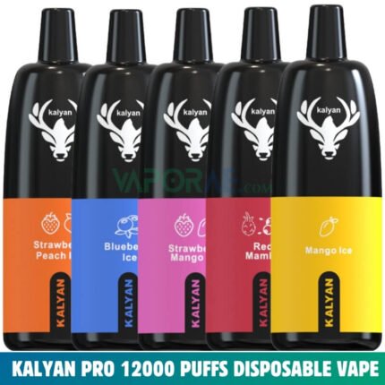 KALYAN PRO 12000 Puffs Price in Dubai