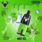 KALYAN PRO 12000 Puffs Price in Dubai Mint Ice