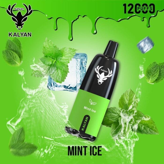 KALYAN PRO 12000 Puffs Price in Dubai Mint Ice