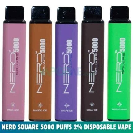 NERD Square 5000 Puffs 2% Nicotine Disposable Vape In Dubai