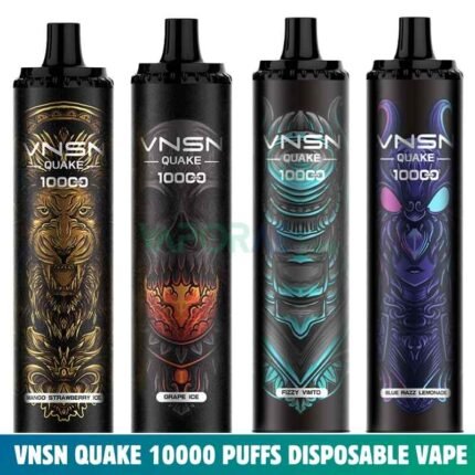 VNSN Quake 10000 Puffs 5% Nicotine Disposable Vape In Dubai