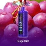 VOOPOO CLOUD X 20000 Puffs Price in Dubai GRAPE MINT