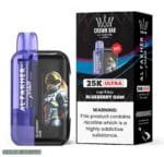 Al Fakher Ultra 25000 Puffs 50MG Disposable Vape Price in Duabi Blueberry Gum