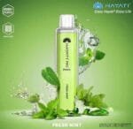 HAYATI Pro Max 4000 Puffs 20MG Disposable Vape Price in Dubai fresh-mint