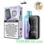 TESLA Bar XT 30000 Puffs 20MG Disposable Vape Price in Dubai Grape Blow Pop