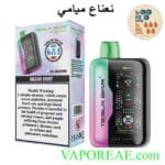 TESLA Bar XT 30000 Puffs 20MG Disposable Vape Price in Dubai Mami Mint