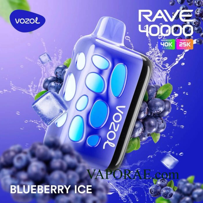 VOZOL Rave 40000 Puffs 50MG Disposable Vape Price in Dubai Blueberry Ice