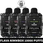 Flava Nimmbox 10000 Puffs