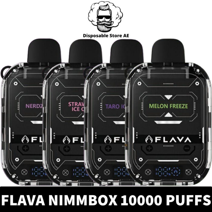 Flava Nimmbox 10000 Puffs