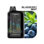 TESIYI 40000 Puffs 50mg Nicotine Dual Mode Disposable Blueberry Mint