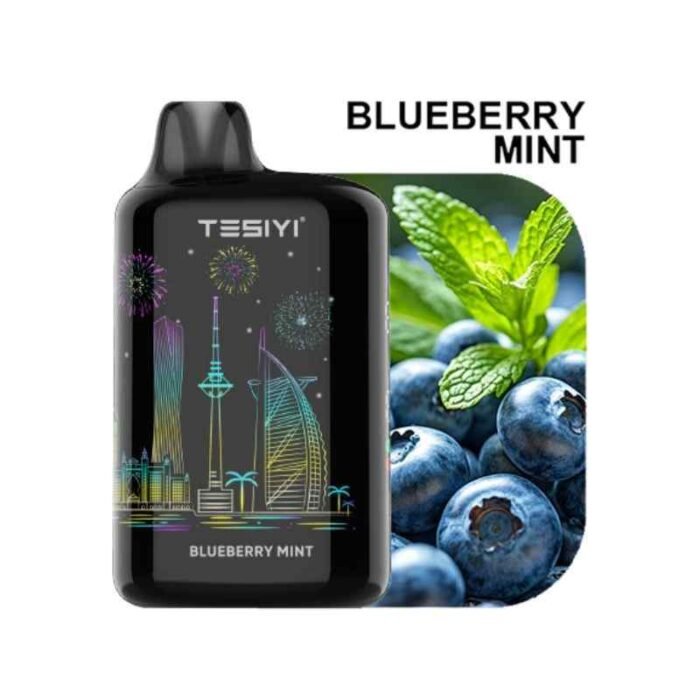 TESIYI 40000 Puffs 50mg Nicotine Dual Mode Disposable Blueberry Mint