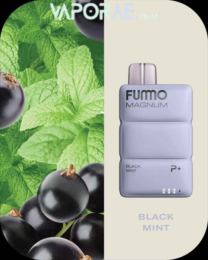 FUMMO Magnum 8000 Puffs 20MG Disposable Vape in Dubai-BLACK-MINT