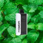 WAKA Sopro 10000 Puff Disposable Vape_Fresh_Mint