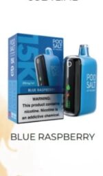 Podsalt 15000 Puffs 2% Nicotine Disposable Blue Raspberry