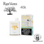 Ripe Vapes IVORY 20MG and 50MG 40000 Puffs Disposable Vape Cool Mint Ice