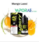 Nasty Smooth Series Salt 30ml mango lassi