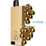 sikary fit 12000 puffs disposable vape black grape