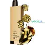 sikary fit 12000 puffs disposable vape mango ice