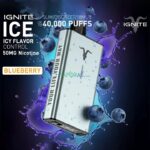 IGNITE ICE Disposable 40K Puffs Blueberry Ice