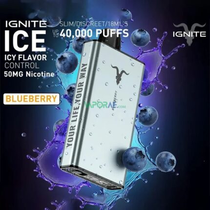 IGNITE ICE Disposable 40K Puffs Blueberry Ice