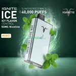 IGNITE ICE Disposable 40K Puffs Mint