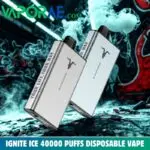 ignite ice 40000 puffs disposable vape icy flavor control in the uae