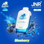 jnr lion king 50000 puffs 50mg nicotine blueberry