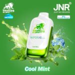jnr lion king 50000 puffs 50mg nicotine cool mint