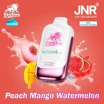 jnr lion king 50000 puffs 50mg nicotine peach mango watermelon