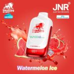 jnr lion king 50000 puffs 50mg nicotine watermelon ice